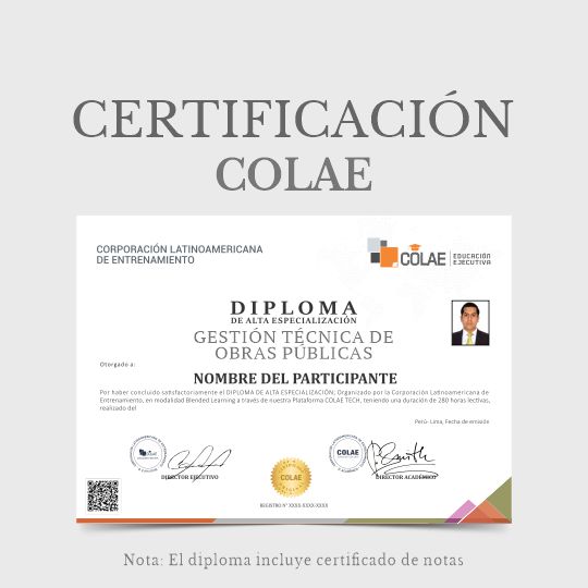 Diploma De Especialización: GESTIÓN TÉCNICA DE OBRAS PÚBLICAS